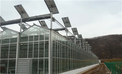 Monocrystalline Silicon Photovoltaic Greenhouse