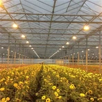 Solpanel glas drivhus